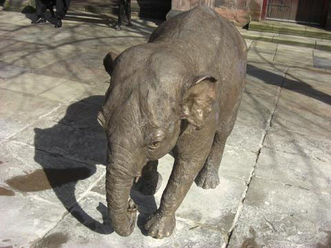 Chestertourist.com - The Elephant Northgate Street Chester Page One